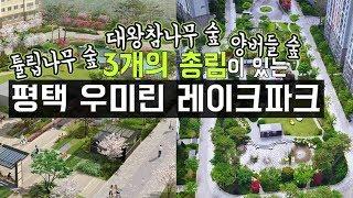 [전지적 드론 시점] 계절감을 느낄 수 있는 평택 우미린 레이크파크 조경 | 삼성물산 리조트부문