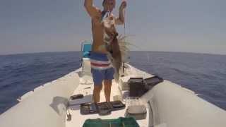 Vertical Jigging Live Strike - Dentex + San Pietro. Fishing in Malta