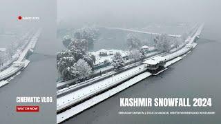 “This is What SNOWFALL in SRINAGAR Really Looks Like! ️ | Kashmir 2024 Snowfall ! 28th Dec 2024 |