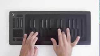 Seaboard RISE + Native Instruments' Electric Bass