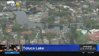 Look At This: Toluca Lake