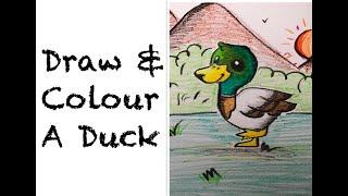 Draw & Colour a Duck | How to Draw a Duck? | SimpleSigns