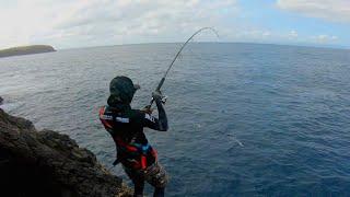 palms shore gun evolv 106XXH, saragosa 6000HG, bait lure sinking 50gr indiga bali vs barracuda fish