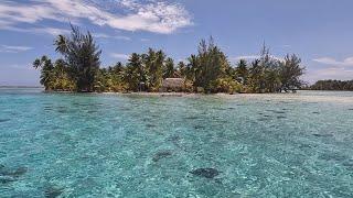 South Sea Dreams: Raiatea and Taha'a (4K-Video, subtitled)