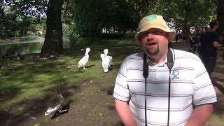 @Mancunian Birder shares birding memory in St James's Park, London