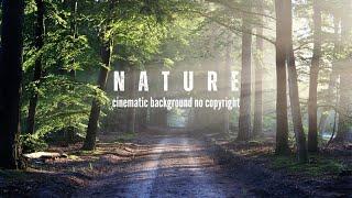 Nature Video Cinematic Background No Copyright - Free Stock Footage - Romance Post BD