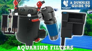 BEST Tips For Selecting The CORRECT Aquarium Filter!