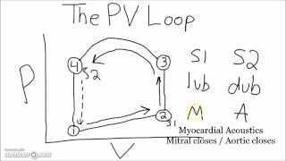 Physiology - PV Loop and Heart Sounds in 5 Minutes