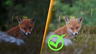 The One Camera Feature I Wish I Knew Sooner