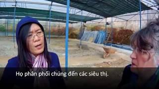 British Council Vietnam Project - Full Video