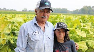 Oxendine Family Continues Lumbee Tradition of Tobacco Farming