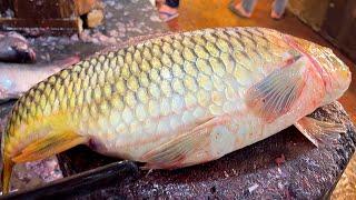 Amazing Cutting Skills | Big Carp Fish Cleaning & Chopping By Expert Fish Cutter