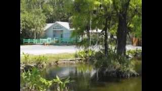 Tour Clyde Butcher's Swamp Cottage