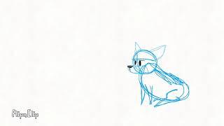 Corgi animation test