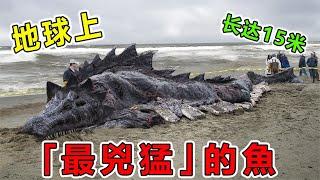 地球上“最兇猛”的10大淡水魚，喀納斯湖水怪終於現身，長達15米重達1000斤