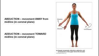 BIO 168 Module 7 - Movement at Synovial Joints