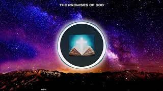 The Promises of God - 300 + Bible Verses related to 23 topics. See DESCRIPTION below.