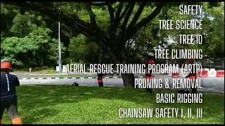 TREE WORKER APPRENTICE PROGRAM (TWAP) - TCS MALAYSIA