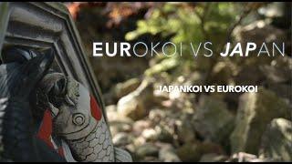 Verschil  Eurokoi vs Japanse koi, zien we verschil ?