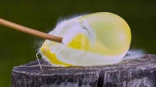 Destroying Water Balloons Look INCREDIBLE in Slow Motion! [2000 FPS] HD