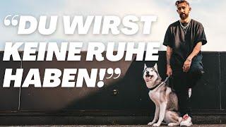 Reden Huskies wirklich SO viel?