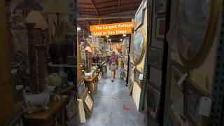 Come with us to the largest antique mall in San Diego! #thrifting