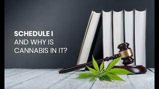 What Are Schedule 1 Drugs - And Why Is Weed One Of Them?