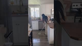 reset days with ​⁠@myswiffer are made easy! #reset #cleanwithme #resetroutine