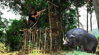 FULL: 100 days of ambushing and trapping wild boars, hunting stream fish \ phượng pú