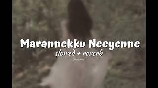 Marannekku neeyenne ( 𝗦𝗹𝗼𝘄𝗲𝗱 + 𝗿𝗲𝘃𝗲𝗿𝗯 )