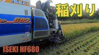 Harvesting rice. [ISEKI HF680]