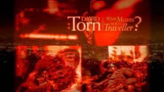 David Torn - Tiny Burns A Bridge & Elsewhere, Now Than Waving