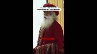 Удивительные факты о фотосинтезе, которые вас шокируют!