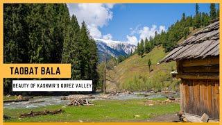 Taobat Bala: The Ultimate Travel Guide | Beauty of Kashmir's Gurez Valley [4K] Ultra HD