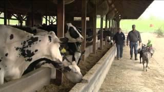 6/06/14 The 2014 Vermont Dairy Farm of the Year on Across The Fence