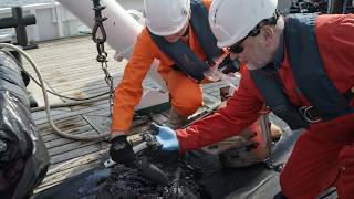 Deadly oil leaks from sunken WWII warships | Black Tears of the Sea