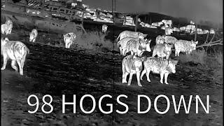 98 HOGS DOWN | Thermal Hog Hunting in Texas **Why hunters need AR-15s**