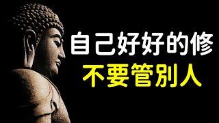 佛說：自己好好的修，不要管別人，各人有各人的業因果報｜好東西 佛說