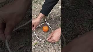Trap in the Forest! #survival #outdoors #bushcraft