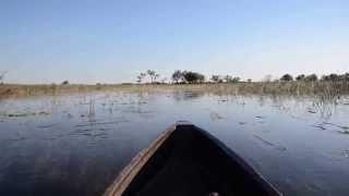 Riding Mokoro on Hippo Highway @ Xudum Okavango Delta Lodge Botswana