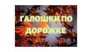 Трейлер к каналу Галошки по дорожке LIFE
