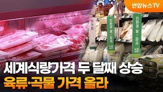 세계식량가격 두 달째 상승…육류·곡물 가격 올라 / 연합뉴스TV (YonhapnewsTV)