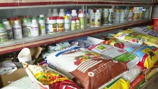 Giá vật tư nông nghiệp tăng cao, nông dân đứng trước nguy cơ thua lỗ | BRTgo