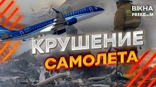 Самолет СБИЛО не ПВО, а птица? НОВЫЕ ДЕТАЛИ ПАДЕНИЯ самолета в Казахстане