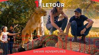 1 ti Letour - Safari Adventures