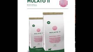 Pasto Mulato II descripcion