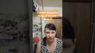 Летний Марафон - Уход за лицом! День 3 "Моя палочка - выручалочка" SOS PURE SKIN #oriflame