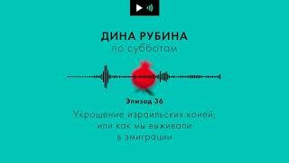 ДИНА РУБИНА. Укрощение израильских коней, или как мы выживали в эмиграции | #подкаст