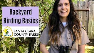 Backyard Naturalist - Birding Basics