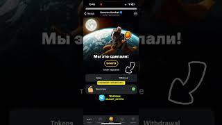 Как вывести токены с Hamster Kombat на кошелек в телеграмм ? #телеграм #hamsterkombat #wallet